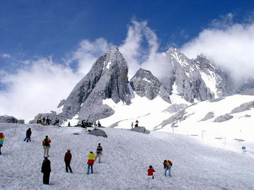 踏雪观莲：高处情浓