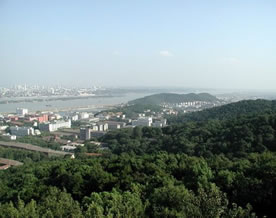 火娃：岳麓山之酸想