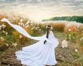 佚名：静女｜jìng nǚ