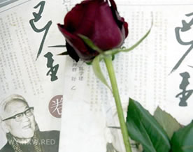 巴金：爱情三部曲 雾